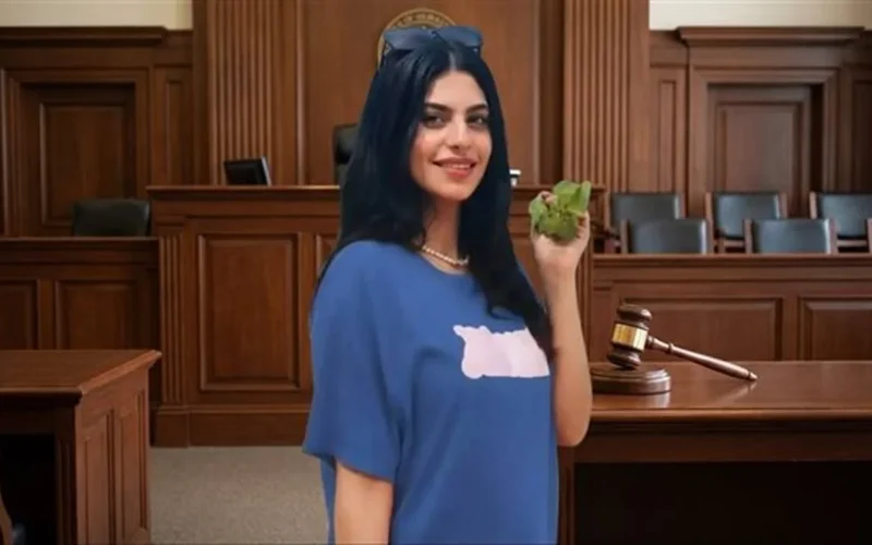 حجز الدعوى للحكم.. انتهاء جلسة قضية سلفانا عاطف فانوس 28 يناير